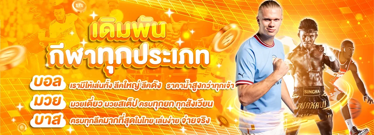 ฟีเจอร์เด่น